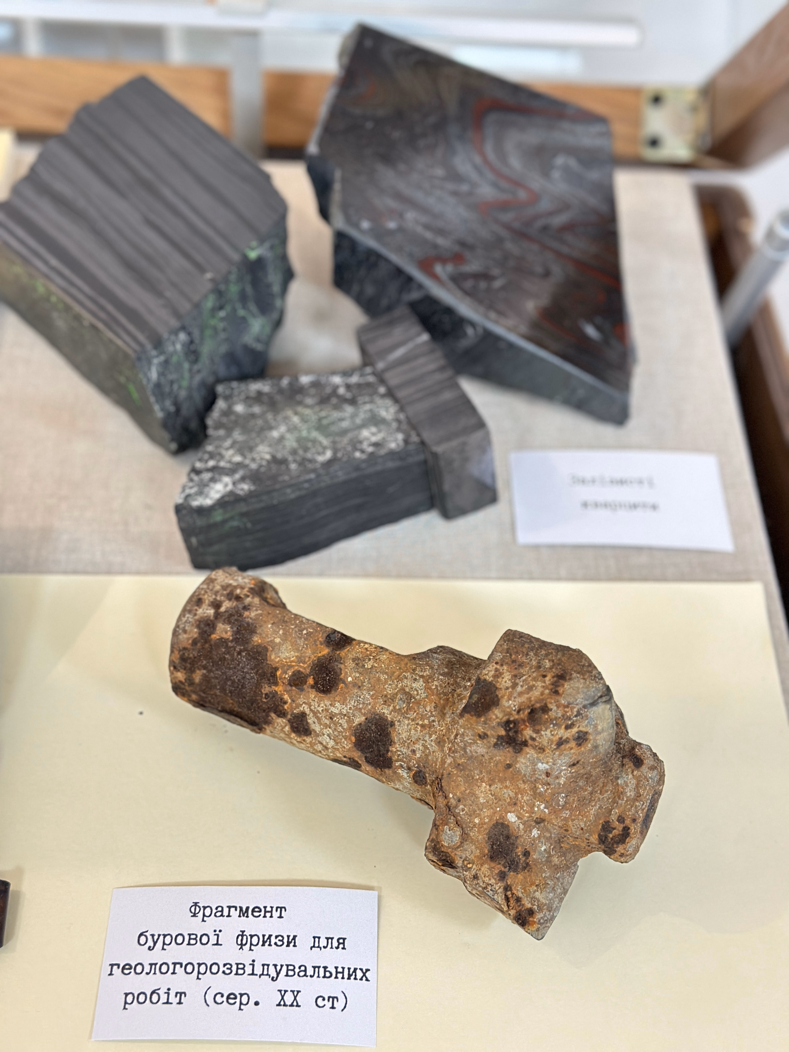 Виставка "Український левик" — мініатюра 4